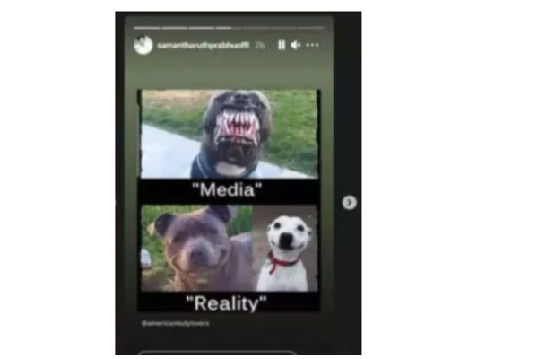 சர்ச்சைக்கு பிறகு சமந்தாவின் மீம் போஸ்ட்! கடும் குழப்பத்தில் ரசிகர்கள்... என்ன தான் நடந்திருக்கும்? | Samantha Expresses Anger In His Instagram Post