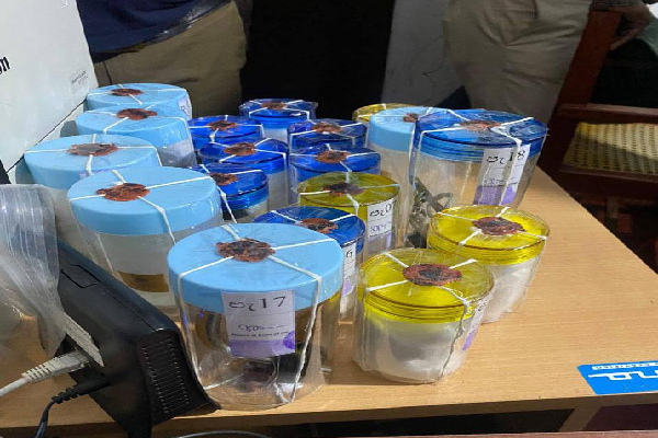 இலங்கையில் இரண்டு அமெரிக்கப் பிரஜைகள் கைது | Two Americans Arrested In Sri Lanka