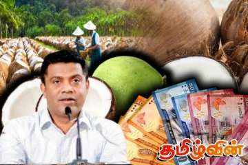 தேங்காய் விலைக்கு விரைவில் தீர்வு:அமைச்சர் வெளியிட்ட தகவல்