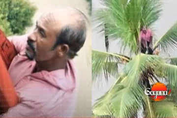 මගේ සත්තු ටික වතුරේ ගියා උදේ වෙද්දී මාත් වතුරට පනින්න හිත හදාගත්තා [PHOTO]