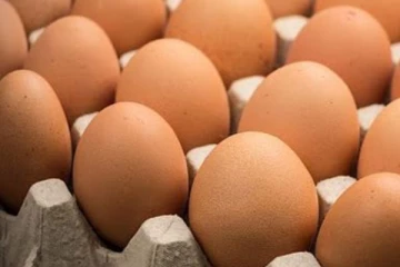 බිත්තර ගැන බේකරි හිමියන්ගේ සංගමය කියන දේ - බේකරි නිෂ්පාදනත් ගණන් යයි ද?..