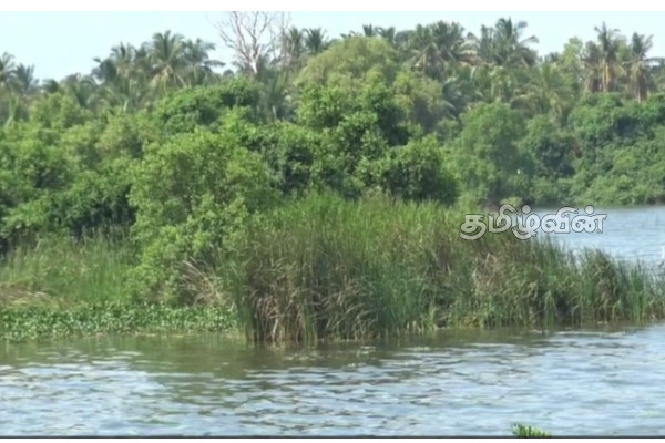 மட்டக்களப்பு - கல்லாறு பாலத்தின் வடிச்சல் குழாய்களை சீரமைக்குமாறு கோரும் மக்கள் | Batticaloa Kallaru Bridge Drainage Pipes Repaire