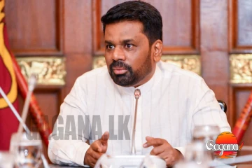 තෙදින නිල සංචාරයකට ජනාධිපති මාලදිවයිනයට යාමට සැරසේ