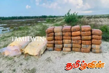 பூநகரியில் விசேட சோதனை நடவடிக்கை: கேரள கஞ்சா மீட்பு