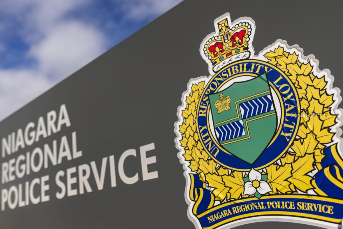 நயாகராவில் நாய்கள் மீது துப்பாக்கிச் சூடு | Snow And Rain Coming To The Maritimes