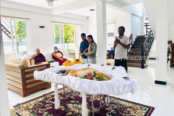 இலங்கையில் செல்லப் பிராணிக்கு இறுதிச் சடங்கு ; சோகத்தில் குடும்பத்தினர் | Funeral For A Pet Family In Mourning