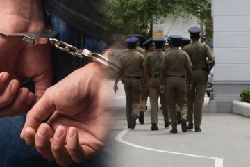 யாழில் வீட்டில் கஞ்சா செடியினை வளர்த்தவர் கைது