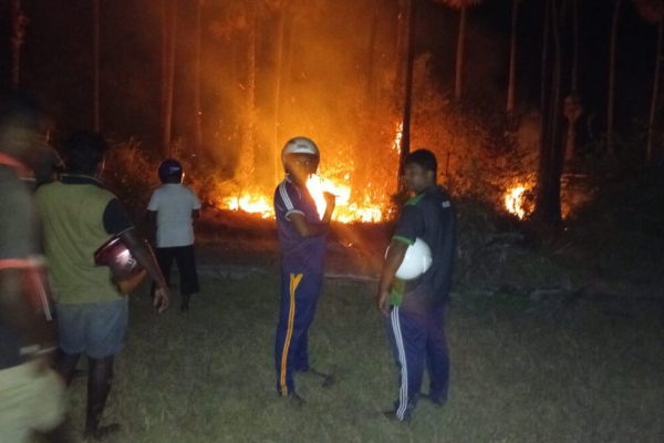 யாழ்ப்பாணம் கசூரினா கடற்கரையில் பாரிய தீ | Fire Breaks Out At Casuarina Beach Jaffna