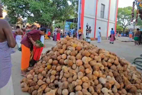 விண்ணதிர ஆரோகரா கோக்ஷம் முழங்க ....தேரில் பவனி வந்த செல்வச் சந்நிதி முருகன்! | Selva Sannithi Murugan Chariot
