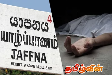 யாழில் பாம்பு தீண்டி முதியவர் உயிரிழப்பு