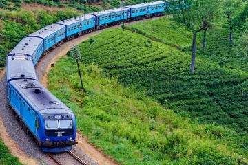 புகையிரதங்களில்  மோதுண்டு இருவர் பரிதாப மரணம்
