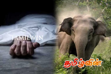 யானை தாக்கி பரிதாபமாக உயிரிழந்த இளம் குடும்பஸ்தர்