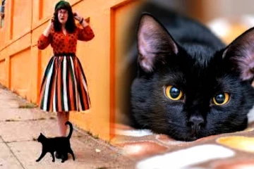 பூனை குறுக்கால் போனால் என்ன நடக்கும் தெரியுமா? உங்களுக்கான பதிவு இதோ