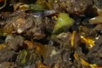 දඩමස් ප්‍රවාහනය කරමින් සිටිය දී වැඩ වැරදිලා..