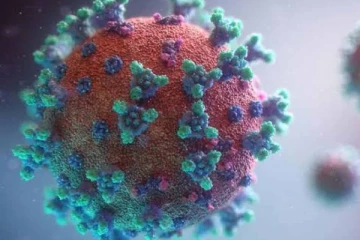 அந்த வைரஸ் பத்தி எங்களுக்கு எதுவுமே தெரியல : உலக சுகாதார அமைப்பு அதிர்ச்சி தகவல்