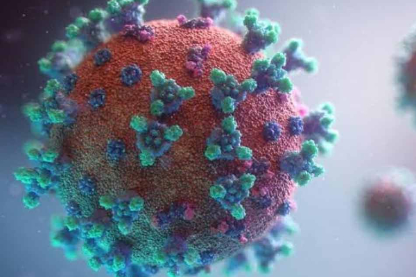 அந்த வைரஸ் பத்தி எங்களுக்கு எதுவுமே தெரியல : உலக சுகாதார அமைப்பு அதிர்ச்சி தகவல் - தமிழ்நாடு