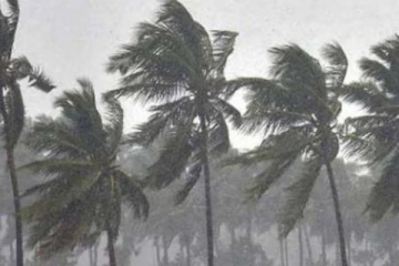 நிவர் மற்றும் புரெவி மழை பாதிப்புகளை பார்வையிட மத்திய குழு இன்று தமிழகம் வருகை