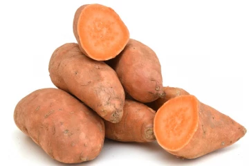 சர்க்கரை நோயாளிகளுக்கு முக்கிய மருந்து இந்த சக்கர வள்ளி கிழங்கு தான் - இவ்வளவு நன்மையா?