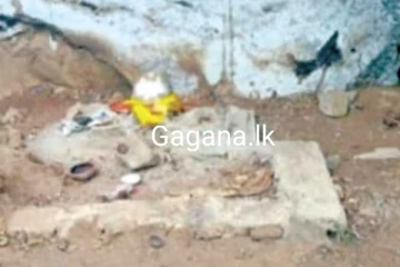 මුලතිව් කැළෑවකින් ශ්‍රී පතුලක් මතුවෙයි..