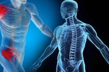 நம் உடலைப்பற்றி வியக்க வைக்கும் தகவல்கள்