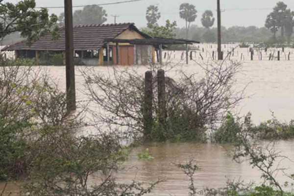 இலங்கையை உலுக்கிய கோர அனர்த்தம் ; மன்னாரில் 310 பேரின் நிலை என்ன? | What Is The Condition Of 310 People In Mannar