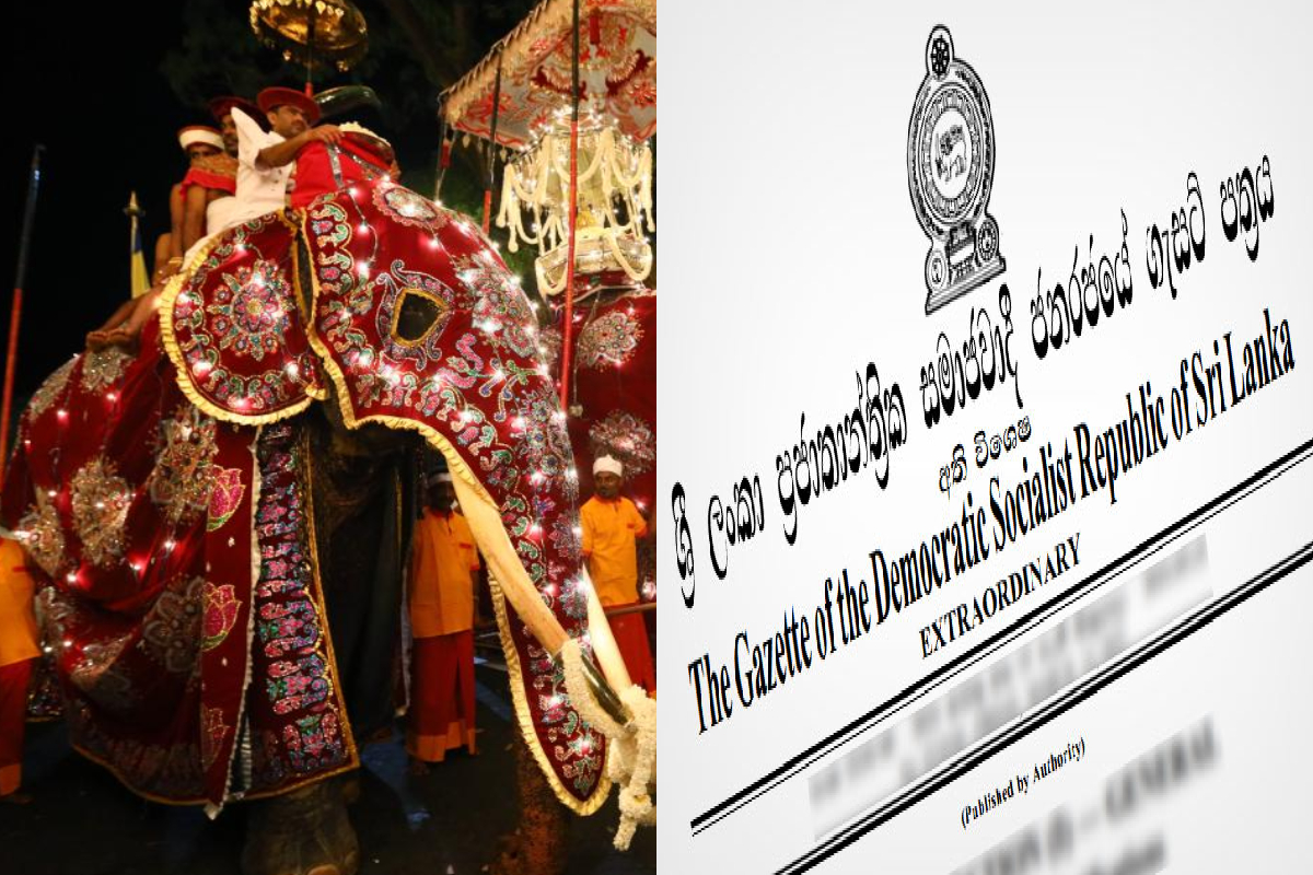 மத நிகழ்வுகளுக்கு யானை வழங்குவது தொடர்பில் வர்த்தமானி அறிவித்தல் | Gazette Notification Elephants Religious Events மத நிகழ்வுகளுக்கு யானை வழங்குவது தொடர்பில் வர்த்தமானி அறிவித்தல் | Gazette Notification Elephants Religious Events