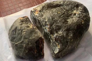 பல கோடிகள் பெறுமதியான திமிங்கல வாந்தி! கொழும்பு புறநகரில் சோதனையில் சிக்கியது