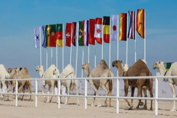 கத்தாரில் கால்பந்து போட்டிக்கு நடுவில் கலக்கும் மற்றுமொரு போட்டி!