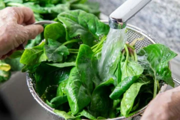 கீரை சமைக்கும் போது இந்த தவறை செய்யாதீங்க..