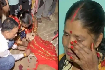 நாய்களுக்கு ஆடம்பரமாக நடந்த திருமணம்! கண்ணீர் சிந்திய உரிமையாளர்