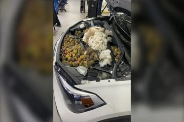 காரில் எண்ணெய் மாற்றுவதற்கு காத்திருந்த பெண்ணுக்கு ஏற்பட்ட அதிர்ச்சி