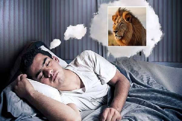 இந்த விலங்குகள் கனவில் வருதா? வாழ்வில் அதிர்ஷ்ட கதவு திறக்க போகுதுன்னு அர்த்தம் | Seeing These Animals In Dream Brings Luck Wealth