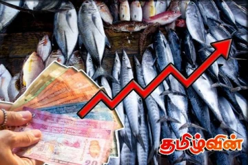 மீன்களின் விலையில் ஏற்பட்டுள்ள மாற்றம்