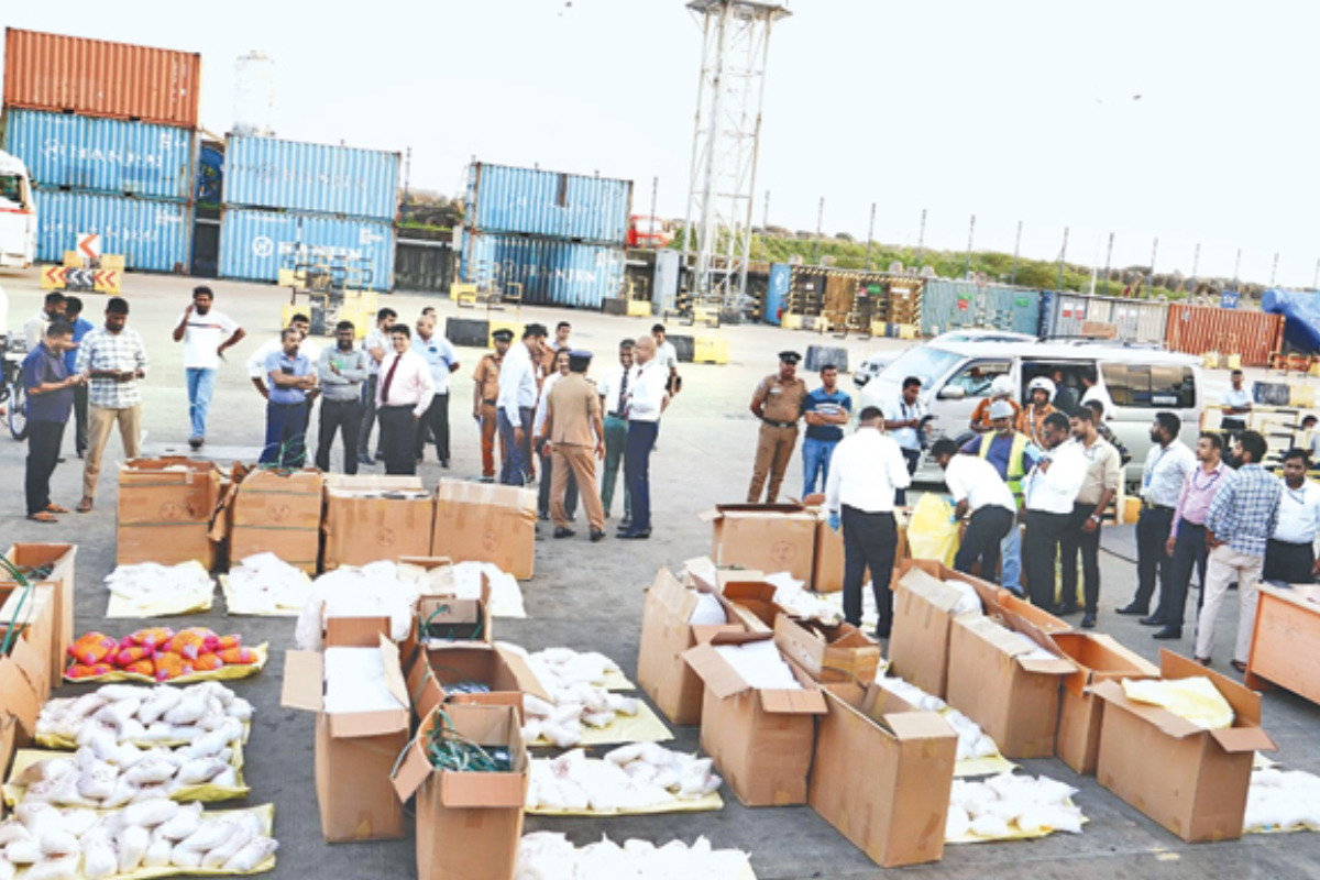 தமிழ் தொழிலதிபரின் பெயருக்கு வந்த பெரும் போதைப்பொருள் கையிருப்பு! அம்பலமான புதிய தகவல்கள் | Drugs Found At Colombo Port New Updates தமிழ் தொழிலதிபரின் பெயருக்கு வந்த பெரும் போதைப்பொருள் கையிருப்பு! அம்பலமான புதிய தகவல்கள் | Drugs Found At Colombo Port New Updates