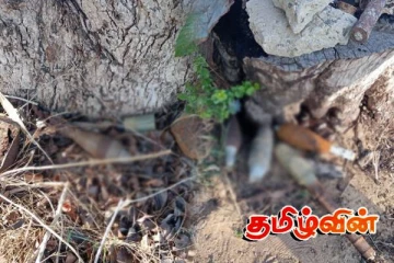 இயக்கச்சியில் வெடிக்காத நிலையில் குண்டுகள் மீட்பு