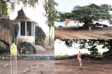 கிழக்கில் பறிபோகும் தமிழரின் நிலங்கள்: பெரும்பான்மை இனத்தவர்களுக்கு வழங்கப்பட்ட காணிகள்