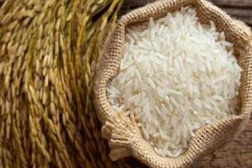 அரிசித் தட்டுப்பாடு குறித்து விவசாய திணைக்களம் வெளியிட்ட தகவல்