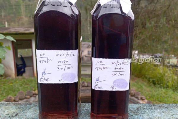டீசலில் மண்ணெண்ணெய் கலந்த பாரவூர்தி சாரதி கைது | Lorry Driver Caught With Fuel Mix