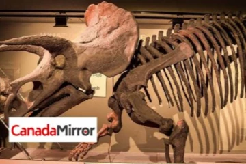 பலாயிரம் ஆண்டுகள் பழமையான டைனோசரின் அரியவகை புதைபடிவம் கண்டுபிடிப்பு!