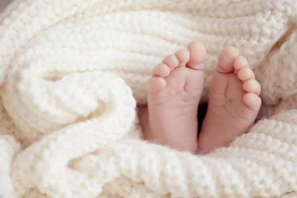 தனது விந்தணுவில் குழந்தை.... பல சலுகை; இளம் பெண்களை அழைக்கும் உலகப் பிரபலம்! | Sperm Donation Ivf Women Telegram Ceo Pavel Durov