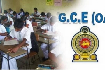 பரீட்சையில் ஆள்மாறாட்டம் செய்த இருவருக்கு பிணை