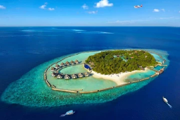 மாலைத்தீவிலிருந்து 186 வெளிநாட்டவர்கள் வெளியேற்றப்பட்டுள்ளனர்