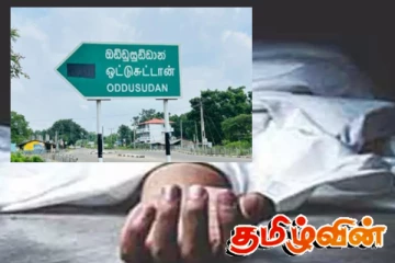 குரங்கால் இடம்பெற்ற விபத்து! ஒருவர் உயிரிழப்பு