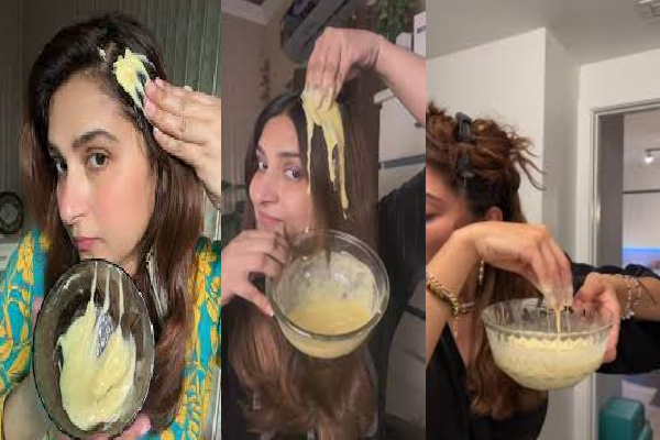 முடி சும்மா காடு போல வளரணுமா? இந்த ஒரு காயின் எண்ணெய் போதும் | Fast Hair Growth Use Olive Oil In One Month Beauty