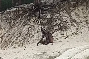 ஜேர்மனியில் பாழடைந்த கோட்டையில் நிர்வாண கோலத்தில் மர்ம மனிதன்: வெளியான புகைப்படம்