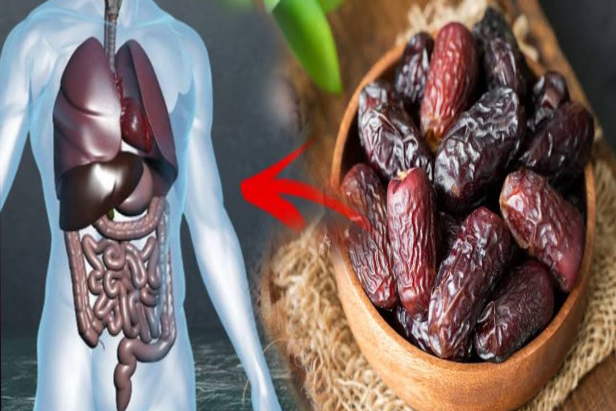 காலையில் வெறும் வயிற்றில் 2 பேரீச்சம்பழங்கள் - உடலில் நடக்கும் மாற்றங்கள் என்னென்ன தெரியுமா? | Is Eating Dates On An Empty Stomach Good