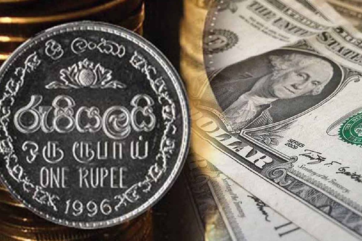 வீழ்ச்சியடைந்த இலங்கை ரூபாய்: டொலருக்கு நிகரான இன்றைய பெறுமதி | Cbsl Rates Rupee Usd