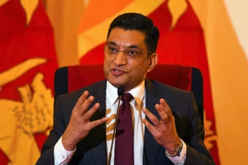 இனப்பிரச்சினைக்கு தீர்வு காண செயற்குழு : அலி சப்ரி