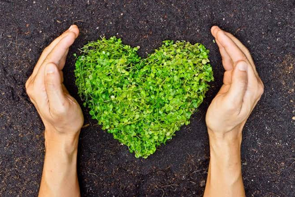 காதலர் தினத்தை முன்னிட்டு அரசாங்கத்தின் புதிய திட்டம்! - ஐபிசி தமிழ்