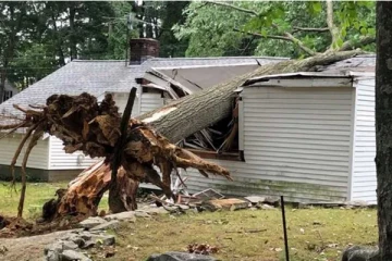 இலங்கையில் நடந்த அசம்பாவிதம் ; வீடொன்றின் மீது மரம் சரிந்து வீழ்ந்ததில் மூவர் காயம்